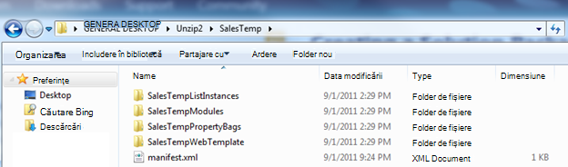 Captură de ecran din Windows Explorer care afișează un fișier .wsp dezarhivat.