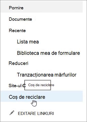 Alegeți Coșul de reciclare de pe navigarea din stânga.