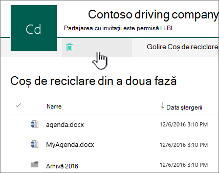 Coș de reciclare SharePoint Online de nivelul 2 cu butonul Golire coș de reciclare evidențiat