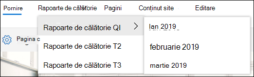 Exemplu de meniu în cascadă SharePoint