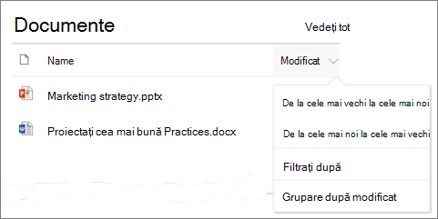 Parte web Bibliotecă de documente afișând meniul de sortare, filtrare și grupare