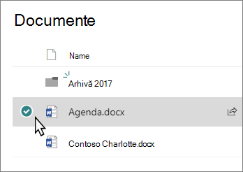 Captură de ecran a unei biblioteci cu un fișier selectat