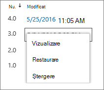 Opțiuni pentru istoricul versiunilor (vizualizare, restaurare, ștergere)