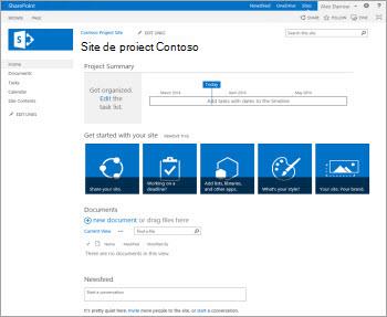Șablon Site Proiect