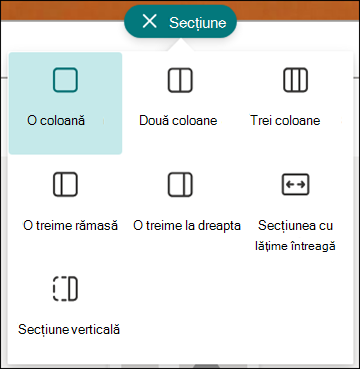 Aspect secțiune