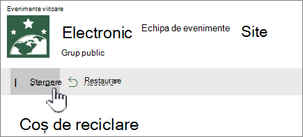 Reciclare SharePoint Online Butonul Ștergere element