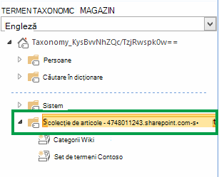 Grupul care conține toate seturile de termeni din colecția de site-uri