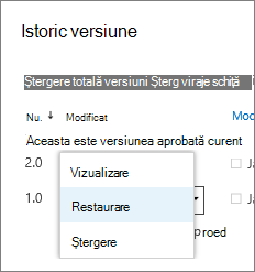 Meniul cu elemente de versiune