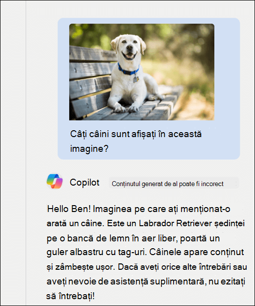 O captură de ecran cu Copilot. O imagine cu un câine a fost lipită împreună cu solicitarea Câți câini sunt afișați în această imagine? Copilot a răspuns cu acuratețe și a oferit o descriere suplimentară a imaginii.