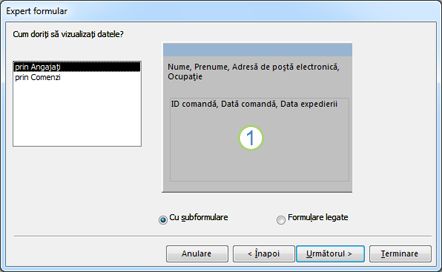 Captură de ecran care afișează pagina subformular a Expertului formular