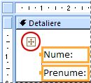 Un selector de aspect într-un formular în vizualizare Proiect