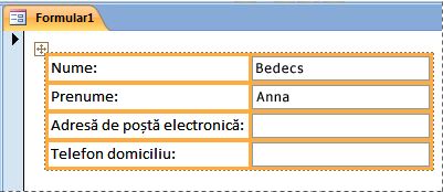 Câmpuri care conțin un aspect în stivă într-un formular