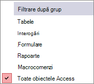 Meniu Filtru după grup din Panoul de navigare