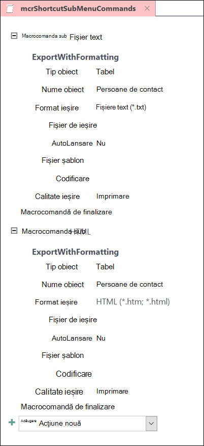 Captură de ecran a unei macrocomenzi în Access cu două submacrocom