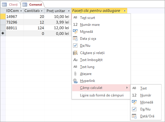 Adăugarea unui câmp nou cu tipul de date Câmp calculat