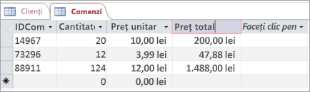 Denumirea unui câmp dintr-un tabel Access