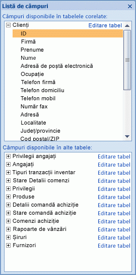 Panoul Listă câmpuri