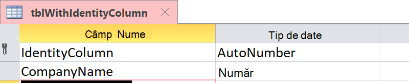 Afișați că Coloana Identitate este identificată drept câmp Numerotare automată