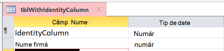 Identity Column not correctly identified as AutoNumber