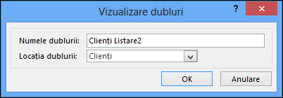 Duplicate view dialog showing name of duplicate box and location for duplicate box.