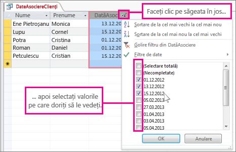 Filtrarea unei coloane de interogare într-o bază de date desktop.