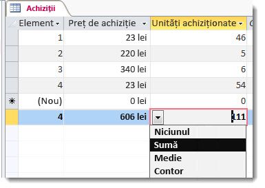 rândul totaluri cu funcțiile Sum și Count