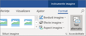 Butonul Text alternativ din panglica Outlook pentru Windows.