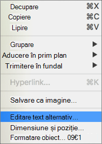 Opțiunea Editare text alternativ din meniul contextual în PowerPoint pentru Mac