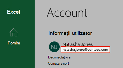 Captură de ecran care afișează un cont de utilizator în Excel.