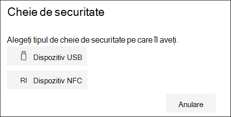 Alegeți dacă aveți un tip de cheie de securitate USB sau NFC