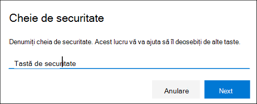 Pagina Informații de securitate, denumirea cheii de securitate