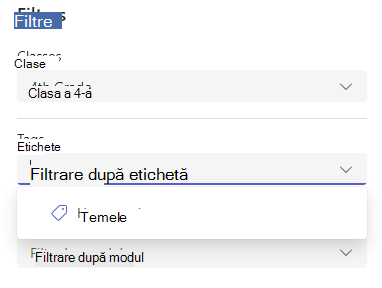 Captură de ecran cu filtrul.