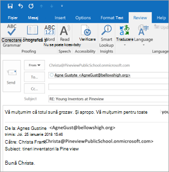 Captură de ecran a filei Revizuire.