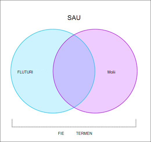 Diagramă Venn afișând cum funcționează graficul SAU