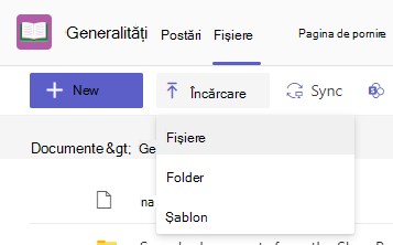 încărcați fișiere