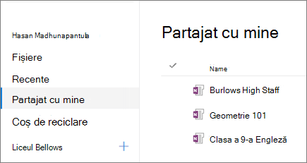 Captură de ecran cu numele blocnotesurilor.