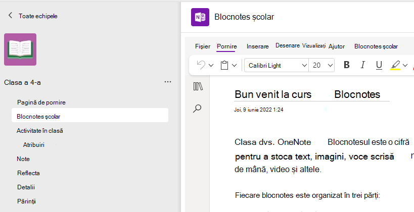 Captură de ecran cu configurarea blocnotesului școlar.