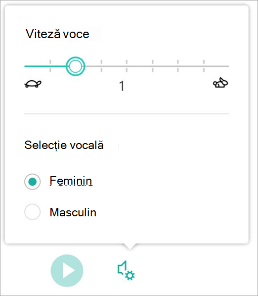 Captură de ecran cu setările de voce.
