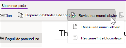 Butonul Revizuire muncă elevi/studenți. Revizuirea muncii elevilor/studenților și Revizuirea între blocnotesuri sunt opțiuni.