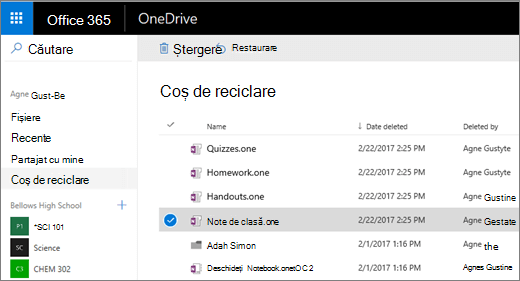 Coșul de reciclare OneDrive cu o listă de pagini de blocnotes.