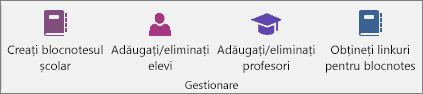 Grupul Gestionare din fila Blocnotes școlar.