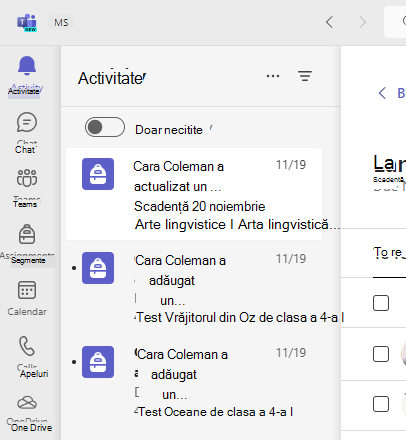 Captură de ecran a activității.