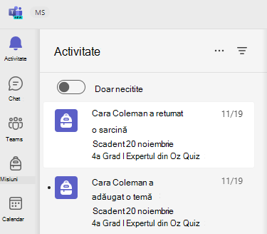Captură de ecran a activității.
