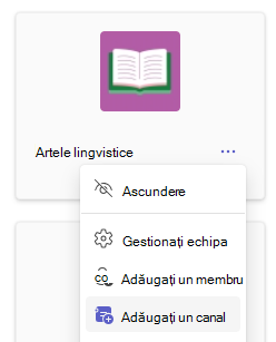 Captură de ecran care afișează Adăugare canal.