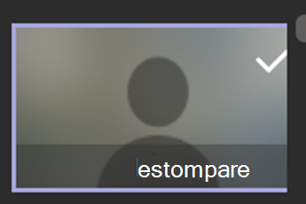 Captură de ecran care afișează opțiunea de estompare fundal selectată.