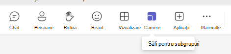 Săli pentru subgrupuri