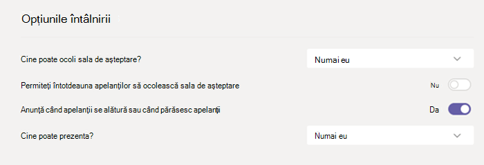 Opțiunile întâlnirii în Teams.