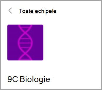 Reveniți la Toate echipele.