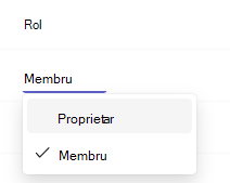 Captură de ecran care îl arată pe proprietar.