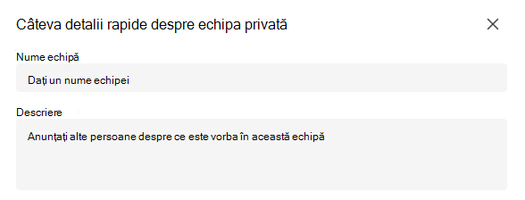 echipă privată